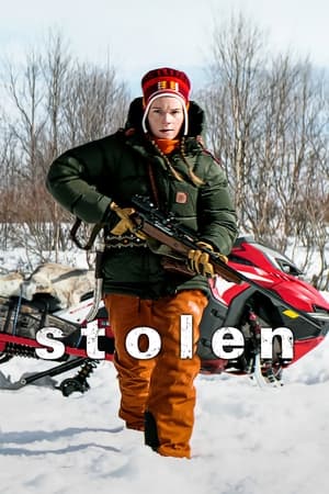 Stolen (2024) Hindi Dual Audio – 720p –